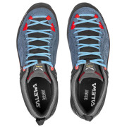 Жіночі черевики Salewa Ws Mtn Trainer 2 Gtx