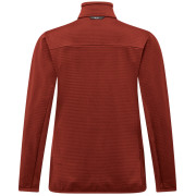 Жіноча функціональна толстовка Salewa Puez Altavia Pl Jkt W