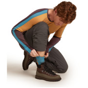 Чоловічі теплі шкарпетки Icebreaker Men Merino Hike+ Heavy Crew