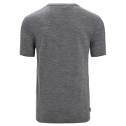 Чоловіча функціональна футболка Icebreaker Tech Lite II SS Tee Nature Sprint