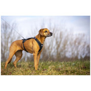 Повідець для собаки Curli Ultra Strong Pocket Leash