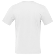 Чоловіча футболка Norrona 29 cotton Norrøna viking T-shirt