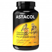 Харчова добавка для суглобів Isostar Astacol 60 kapslí