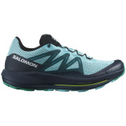Чоловічі кросівки Salomon Pulsar Trail