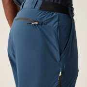 Чоловічі шорти Regatta Travel Light Packaway Shorts