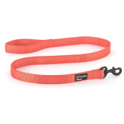 Повідець для собаки Mountain Paws Extra Tough Dog Lead помаранчевий Orange