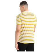 Чоловіча футболка Icebreaker Drayden SS Tee Stripe
