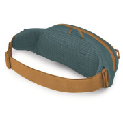Поясна сумка Osprey Daylite Waist