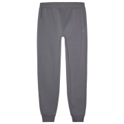 Чоловічі спортивні штани 4F Trousers M0943 сірий Grey