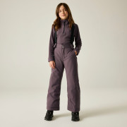 Дитячі зимові штани Dare 2b Outmove III Insulated Pant Huckleberry