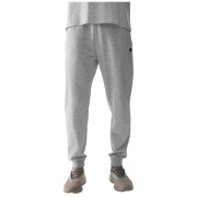 Чоловічі спортивні штани 4F Trousers Cas M603 світло-сірий Cold Light Grey Melange