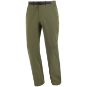 Чоловічі штани Salomon Wayfarer 2.0 Pants M зелений Grape Leaf