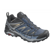 Чоловічі черевики Salomon X Ultra 3 Gtx