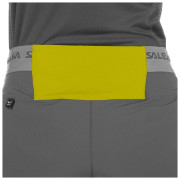 Жіночі штани Salewa Agner Light Dst Engineer W Pnt