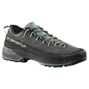 Жіночі черевики La Sportiva TX4 Evo Woman сірий Carbon/Zest