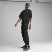 Чоловічі спортивні штани Puma ESS 2 Color No. 1 Logo Sweatpants FL cl