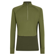 Чоловіча функціональна футболка Icebreaker Men Mer 200 ZoneKnit LS Half Zip темно-зелений Dkloden/Spha/Cb