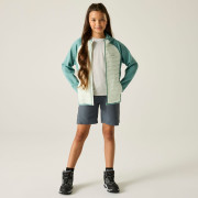 Дитяча куртка Regatta Junior Andreson Hybrid IvyMossOMist