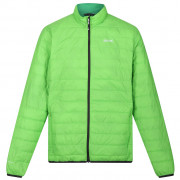 Чоловіча куртка Regatta Hillpack зелений