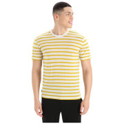 Чоловіча футболка Icebreaker Drayden SS Tee Stripe