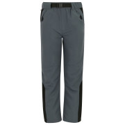 Дитячі штани Regatta Sorcer Mountain Trousers VII Dark Storm сірий Dark Storm