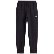 Чоловічі спортивні штани The North Face M Evolution Simple Dome Regular Jogger чорний TNF BLACK
