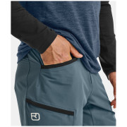Чоловічі шорти Ortovox Pelmo Shorts M