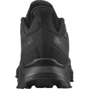 Чоловічі черевики Salomon Alphacross 3 Gore-Tex