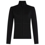 Жіноча толстовка Icebreaker W Mer 400 RealFleece Descender LS Z