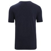 Чоловіча футболка Icebreaker Men Central Classic SS Tee