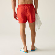 Плавки Regatta Mawson Swim Shorts III
