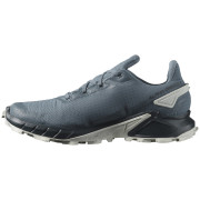 Чоловічі кросівки Salomon Alphacross 4 Gore-Tex
