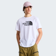 Чоловіча футболка The North Face Evolution Half Dome Regular Short Slee