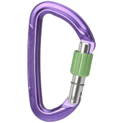 Карабін Wild Country Session Screw Gate фіолетовий purple/green