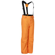 Дитячі лижні штани Dare 2b Outmove III Insulated Pant ElectricOrng
