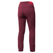 Жіночі штани Salewa Agner Light Dst Engineer W Pnt