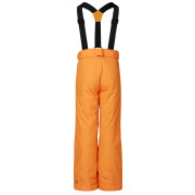 Дитячі лижні штани Dare 2b Outmove III Insulated Pant ElectricOrng