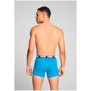 Чоловічі боксери Puma Everyday Basic Boxer 2P