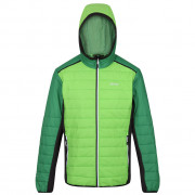 Чоловіча куртка Regatta Trutton II зелений