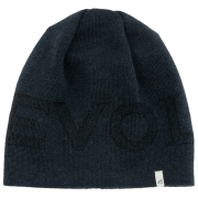 Шапка Devold Everyday Logo Wool Beanie темно-синій Ink