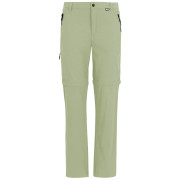 Чоловічі штани Regatta Anti-Insect Travel Light Z/O Trousers світло-зелений Light Sage
