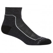 Чоловічі шкарпетки Icebreaker Men Hike+ Light Mini темно-сірий