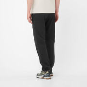 Чоловічі штани Salomon Outerpath Utility pants
