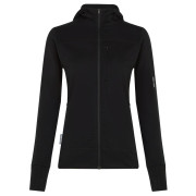 Жіноча кофта Icebreaker W M 300 Descender LS Zip Hoodie чорний Black
