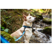 Нашийник для собаки Mountain Paws Waterproof Dog Collar