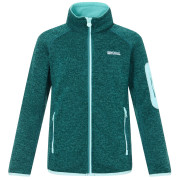 Дитяча толстовка Regatta Junior Newhill DrkForGlacGr зелений DrkForGlacGr