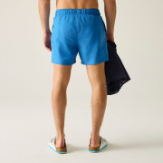 Плавки Regatta Mawson Swim Shorts III