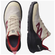 Чоловічі туристичні черевики Salomon Outpulse Gtx