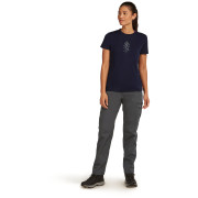 Жіноча футболка Icebreaker W Merino 150 Tech Lite SS Tee Lancewood