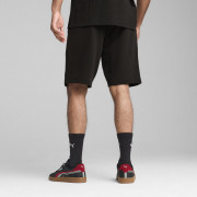 Чоловічі шорти Puma Ess 2 Color Logo Shorts